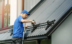 Best Roof Maintenance and Cleaning  in Mendon, IL